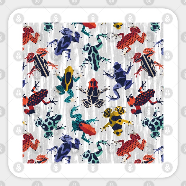Quirky dart frogs dance // pattern // grey textured background brightly multicoloured poison amphibians Sticker by SelmaCardoso